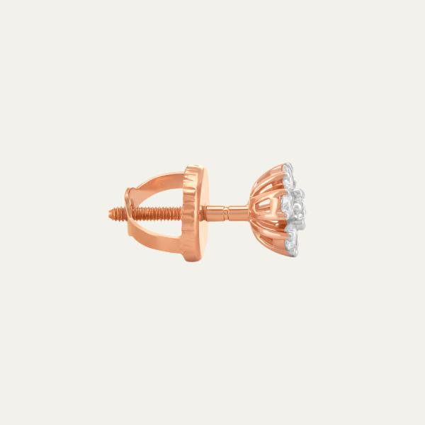 Aukera - Eternal Cluster Lumiere