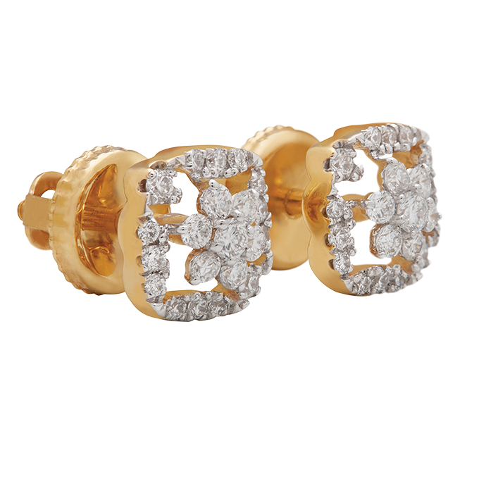 Aukera – Framed Floral Studs