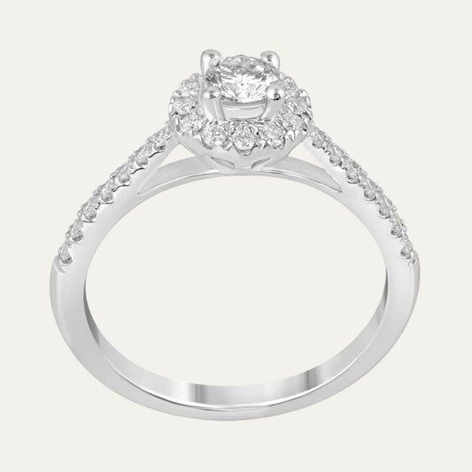 Aukera - The Ring of Love