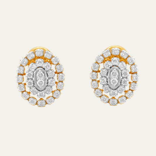 Aukera - Golden Enchantment Halo Stud Earrings