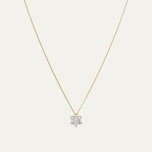 Aukera - Celestial Harmony - Nakshatra Pendant Chain