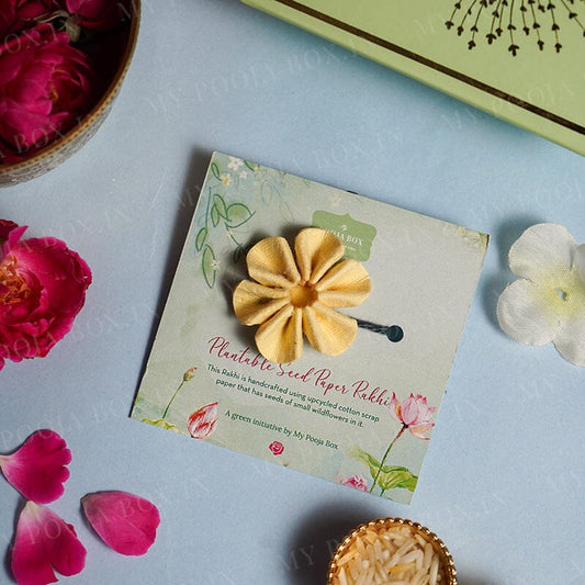 Eco-Friendly Plantable Seed Daisy Yellow Rakhi