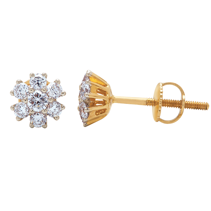 Aukera - Regal Frame Floral Studs