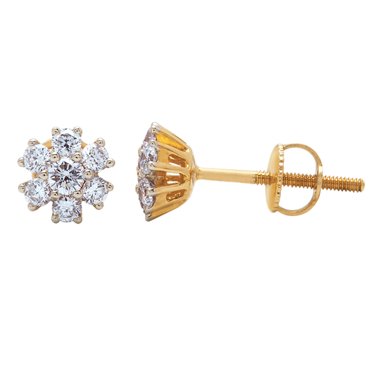 Aukera - Regal Frame Floral Studs