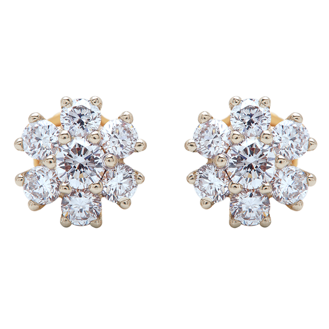 Aukera - Regal Frame Floral Studs