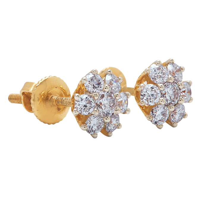 Aukera - Regal Frame Floral Studs