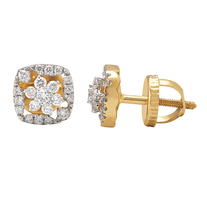 Aukera – Framed Floral Studs