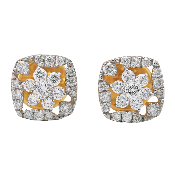 Aukera – Framed Floral Studs