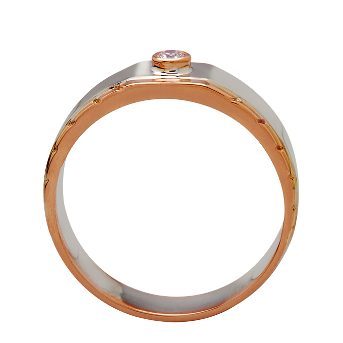 Aukera – Orion Two-Tone Solitaire Band