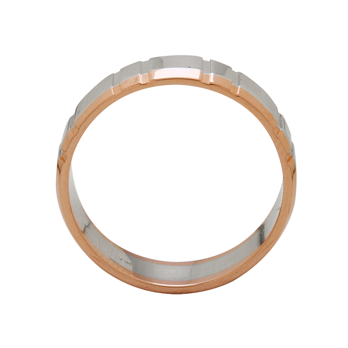 Aukera - Monarch Dual-Tone Men's Band